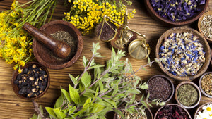  Ayurveda is a 5000-year-old herbal and holistic healing tradition with many life-changing benefits: 
