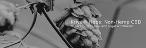 Kriya® Hops CBD