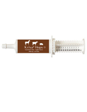 Phyto Pets Oral Paste for Horses & Livestock - PeakHealthCenter