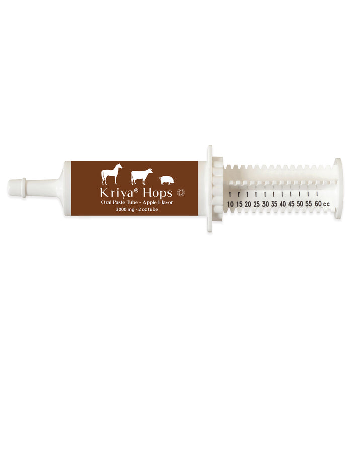 Phyto Pets Oral Paste for Horses & Livestock
